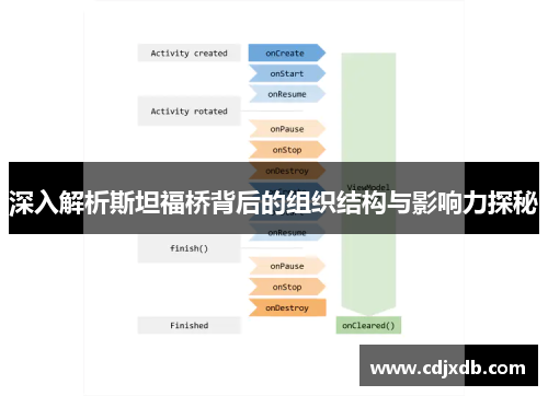 深入解析斯坦福桥背后的组织结构与影响力探秘