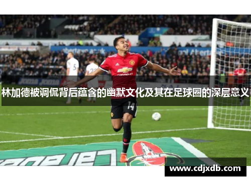 林加德被调侃背后蕴含的幽默文化及其在足球圈的深层意义