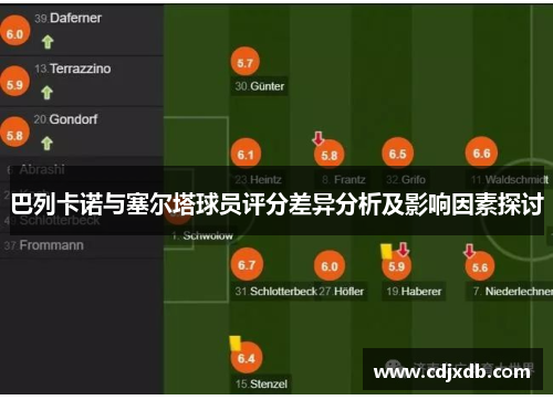 巴列卡诺与塞尔塔球员评分差异分析及影响因素探讨
