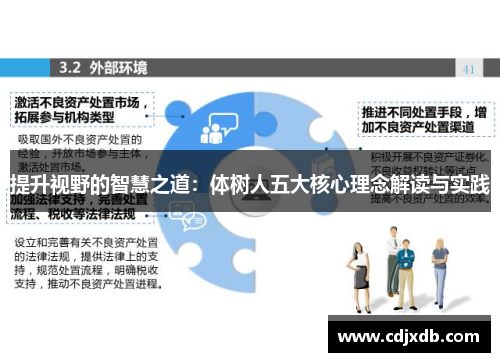 提升视野的智慧之道：体树人五大核心理念解读与实践