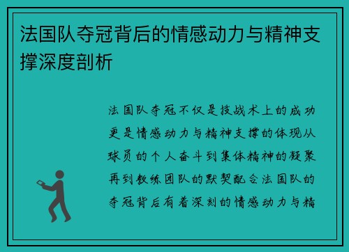 法国队夺冠背后的情感动力与精神支撑深度剖析